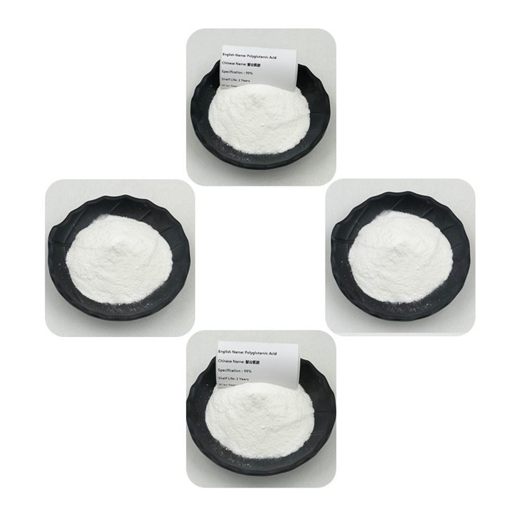 Polyglutamic Acid Powder
